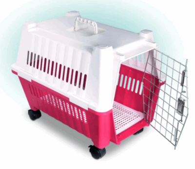 Caixa de transporte pet para cães gatos